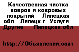 Качественная чистка ковров и ковровых покрытий. - Липецкая обл., Липецк г. Услуги » Другие   . Липецкая обл.